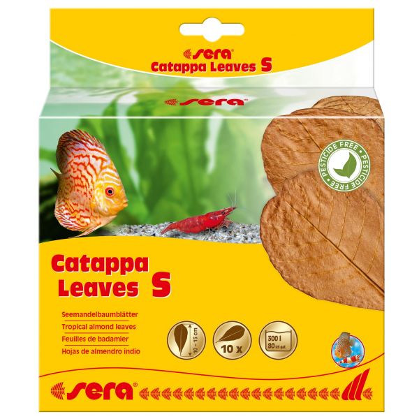 Sera Catappa leaves - Seemandelbaumblätter