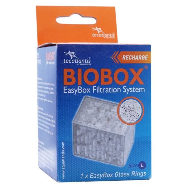 Aquatlantis EasyBox - Glass Rings