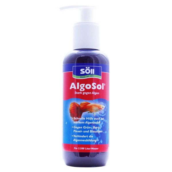 Söll AlgoSol | Stark gegen Algen